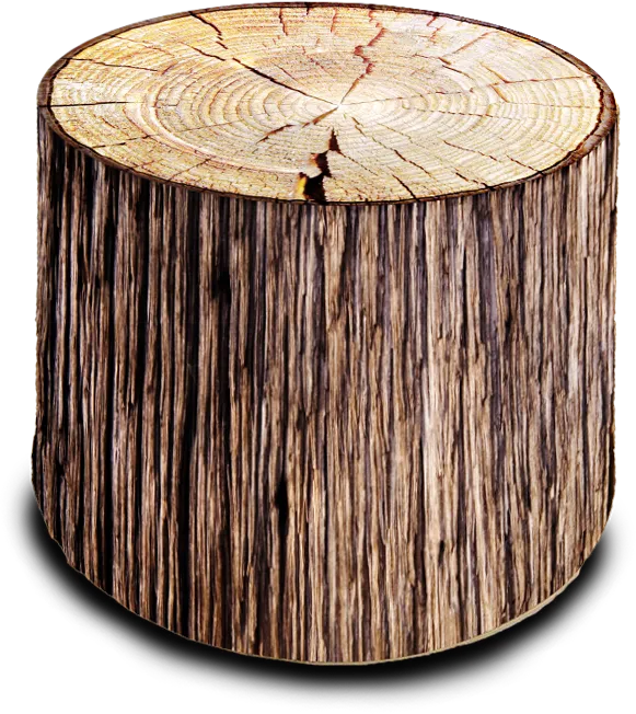 Graficompos Snc Di Babetto Daniela & C. Foot Rests Bean bag chair Tree Trunk, tree, furniture, textile, stool png